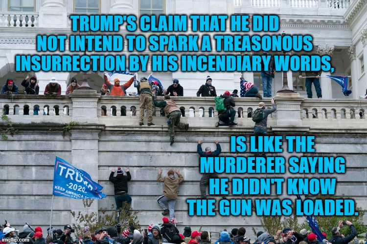 Caught In The Act! | TRUMP'S CLAIM THAT HE DID NOT INTEND TO SPARK A TREASONOUS INSURRECTION BY HIS INCENDIARY WORDS, IS LIKE THE MURDERER SAYING HE DIDN'T KNOW THE GUN WAS LOADED. | image tagged in politics | made w/ Imgflip meme maker