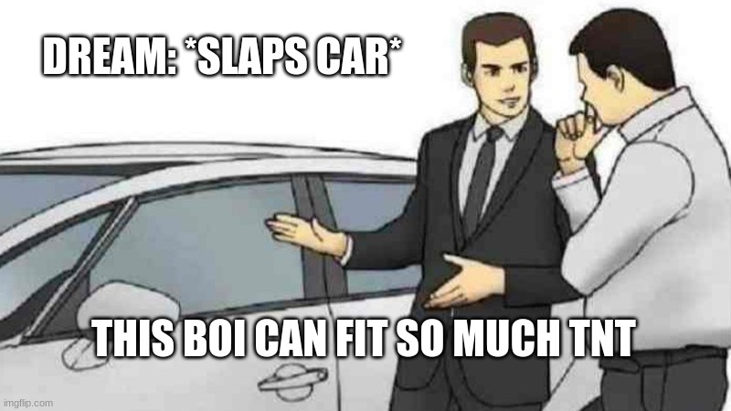 Car Salesman Slaps Roof Of Car | DREAM: *SLAPS CAR*; THIS BOI CAN FIT SO MUCH TNT | image tagged in memes,car salesman slaps roof of car | made w/ Imgflip meme maker