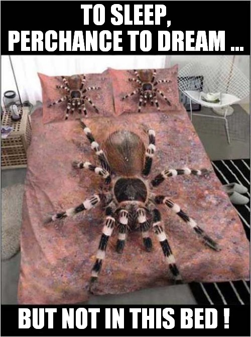 A Spidery Nightmare ! | TO SLEEP, PERCHANCE TO DREAM ... BUT NOT IN THIS BED ! | image tagged in fun,bedtime paradox,spider | made w/ Imgflip meme maker