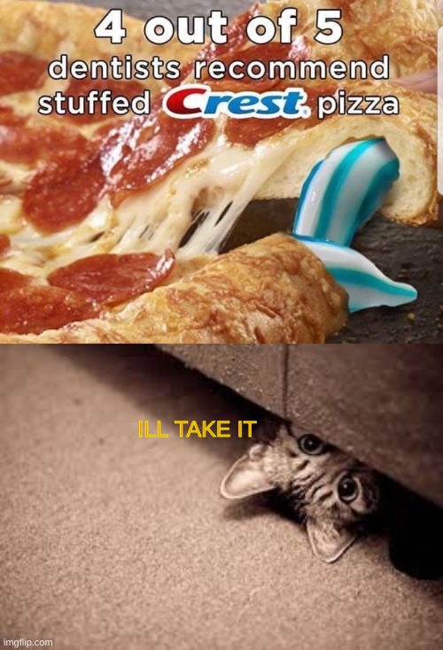 Crest pizza? | ILL TAKE IT | image tagged in cats,memes,pizza,uh no | made w/ Imgflip meme maker