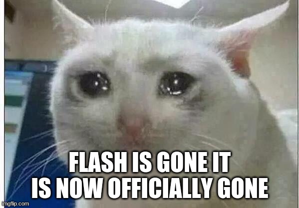 crying cat | FLASH IS GONE IT IS NOW OFFICIALLY GONE | image tagged in crying cat | made w/ Imgflip meme maker