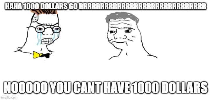 nooo haha go brrr | HAHA 1000 DOLLARS GO BRRRRRRRRRRRRRRRRRRRRRRRRRRRRR NOOOOO YOU CANT HAVE 1000 DOLLARS | image tagged in nooo haha go brrr | made w/ Imgflip meme maker