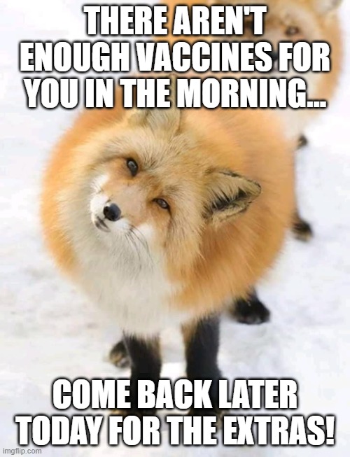 THERE AREN'T ENOUGH VACCINES FOR YOU IN THE MORNING... COME BACK LATER TODAY FOR THE EXTRAS! | image tagged in covid-19,vaccines | made w/ Imgflip meme maker