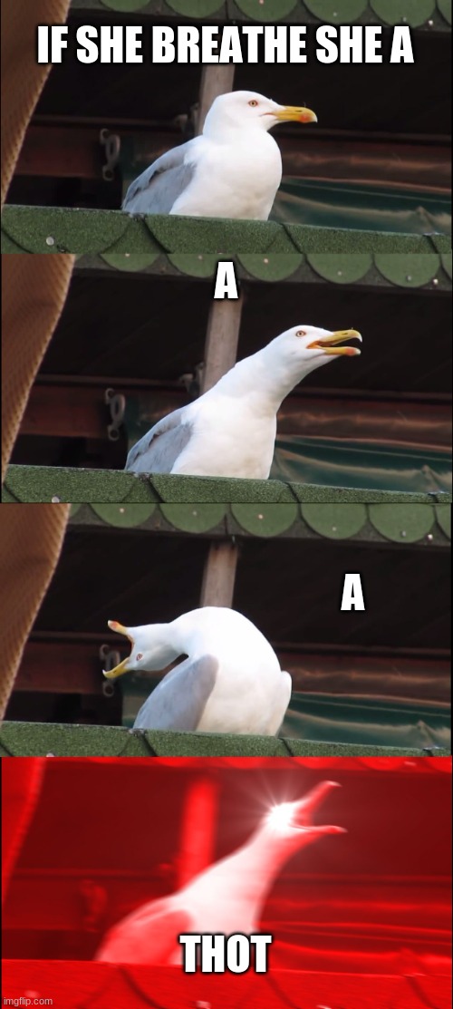 Inhaling Seagull | IF SHE BREATHE SHE A; A; A; THOT | image tagged in memes,inhaling seagull | made w/ Imgflip meme maker