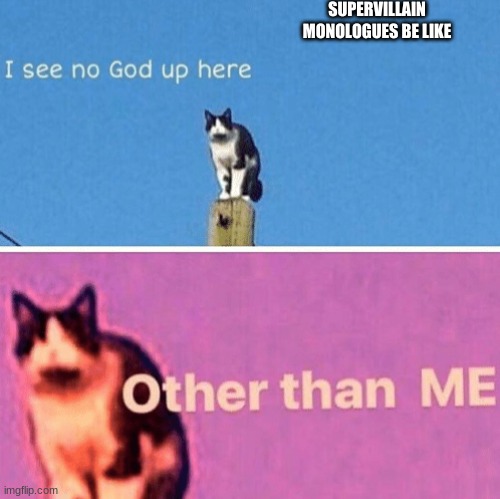 Hail pole cat | SUPERVILLAIN MONOLOGUES BE LIKE | image tagged in hail pole cat,not funny,really,its a trap | made w/ Imgflip meme maker