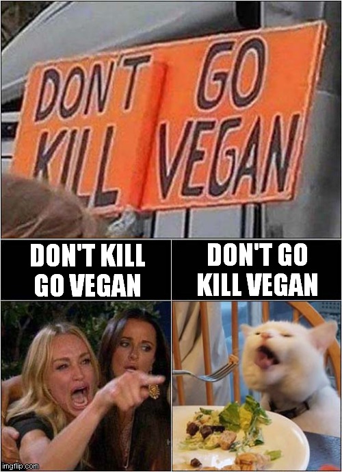 Woman Yelling At Cat: Don't Kill Vegans ! | DON'T GO
KILL VEGAN; DON'T KILL
GO VEGAN | image tagged in fun,woman yelling at cat,vegan | made w/ Imgflip meme maker