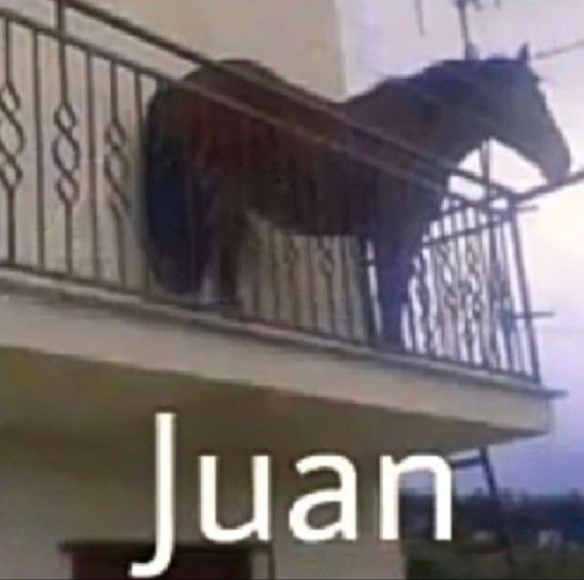 JUAN Blank Meme Template