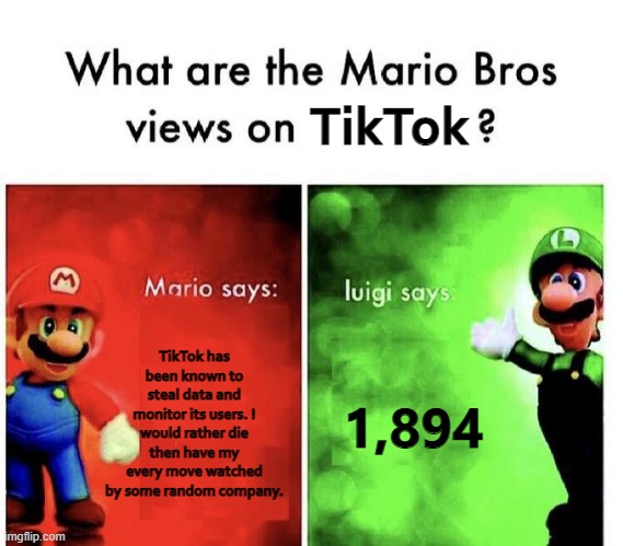 Mario Bros Views | TikTok; TikTok has been known to steal data and monitor its users. I would rather die then have my every move watched by some random company. 1,894 | image tagged in mario bros views | made w/ Imgflip meme maker