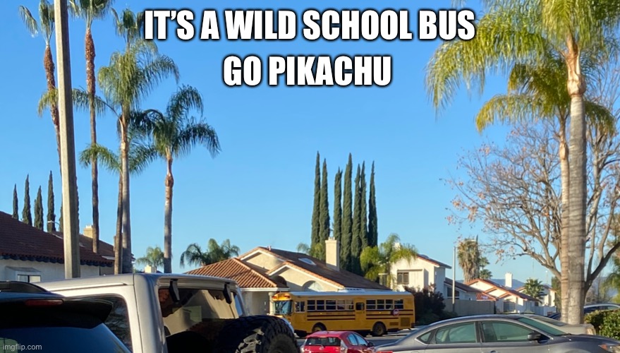 It’s a wild school bus | IT’S A WILD SCHOOL BUS; GO PIKACHU | image tagged in lol so funny | made w/ Imgflip meme maker