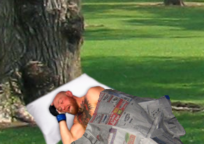 Napping McGregor Blank Meme Template