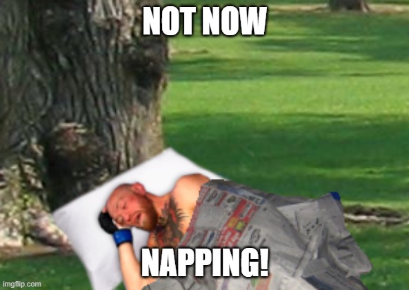 conor mcgregor napping |  NOT NOW; NAPPING! | image tagged in napping mcgregor,conor mcgregor,nuggets,mc nuggets,mcgregor,conor | made w/ Imgflip meme maker