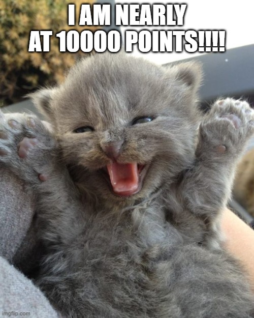Yay Kitty | I AM NEARLY AT 10000 POINTS!!!! | image tagged in yay kitty | made w/ Imgflip meme maker