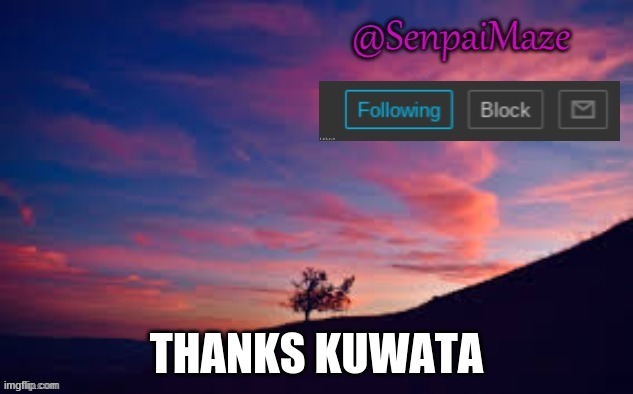 sunset | THANKS KUWATA | image tagged in sunset | made w/ Imgflip meme maker