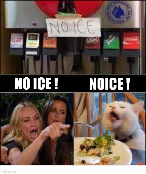 Woman Yelling At Cat:  Noice ! | NOICE ! NO ICE ! | image tagged in woman yelling at cat,noice | made w/ Imgflip meme maker