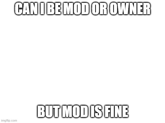 Blank White Template | CAN I BE MOD OR OWNER; BUT MOD IS FINE | image tagged in blank white template,begging for upvotes,can i be mod | made w/ Imgflip meme maker