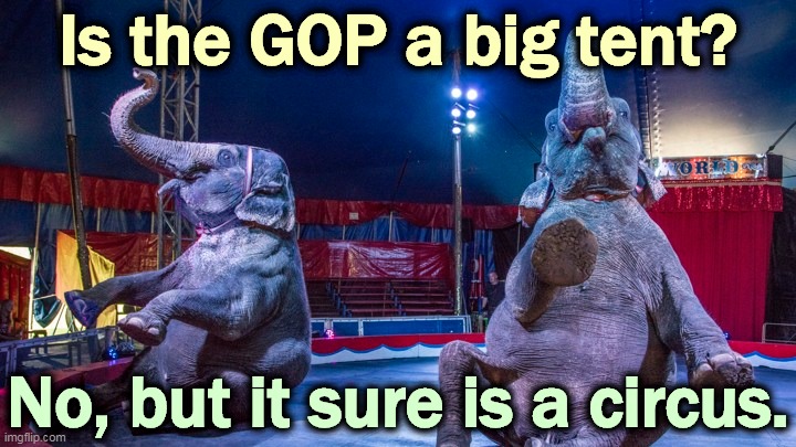 Hyuk, hyuk, hyuk. | Is the GOP a big tent? No, but it sure is a circus. | image tagged in gop,republican party,circus,clowns | made w/ Imgflip meme maker