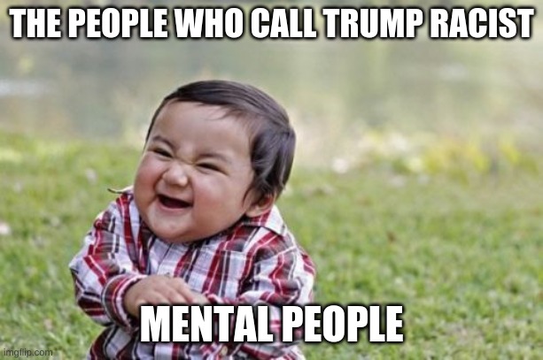 Evil Toddler Meme | THE PEOPLE WHO CALL TRUMP RACIST; MENTAL PEOPLE | image tagged in memes,evil toddler | made w/ Imgflip meme maker