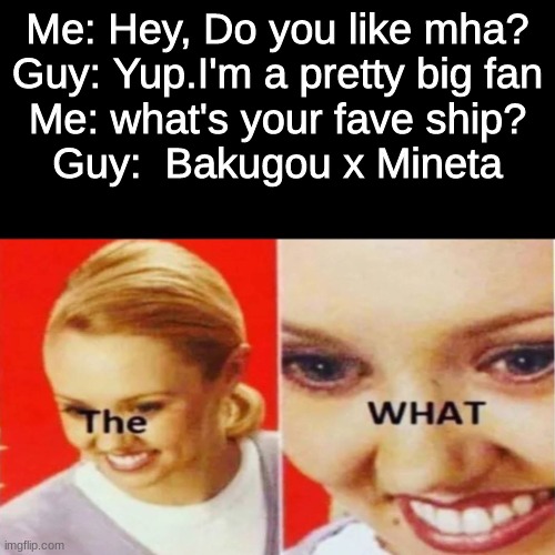 THE WHAT | Me: Hey, Do you like mha?
Guy: Yup.I'm a pretty big fan
Me: what's your fave ship?
Guy:  Bakugou x Mineta | image tagged in the what | made w/ Imgflip meme maker