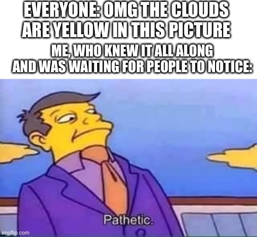 You having a good time? Not anymore | EVERYONE: OMG THE CLOUDS ARE YELLOW IN THIS PICTURE; ME, WHO KNEW IT ALL ALONG AND WAS WAITING FOR PEOPLE TO NOTICE: | image tagged in skinner pathetic | made w/ Imgflip meme maker