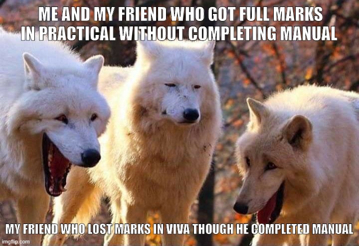 practical exam | ME AND MY FRIEND WHO GOT FULL MARKS IN PRACTICAL WITHOUT COMPLETING MANUAL; MY FRIEND WHO LOST MARKS IN VIVA THOUGH HE COMPLETED MANUAL | image tagged in laughing wolf | made w/ Imgflip meme maker
