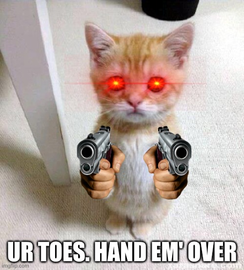 Hand Em' Over |  UR TOES. HAND EM' OVER | image tagged in memes,cute cat,toes | made w/ Imgflip meme maker