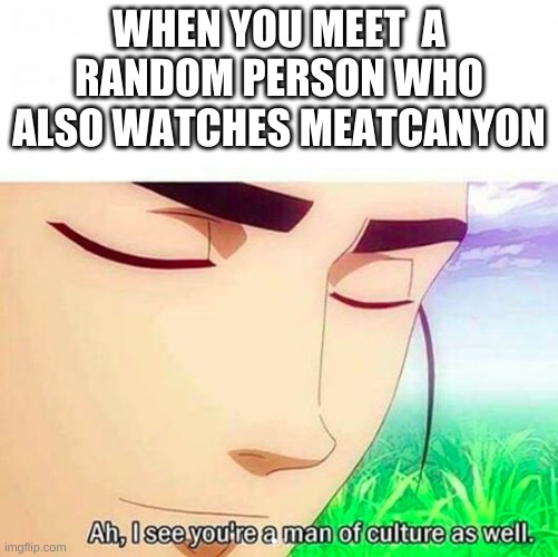 Ah,I see you are a man of culture as well | WHEN YOU MEET  A RANDOM PERSON WHO ALSO WATCHES MEATCANYON | image tagged in ah i see you are a man of culture as well | made w/ Imgflip meme maker