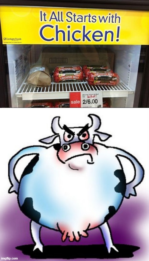 Reverse Chick Fil A | image tagged in angry mad cow | made w/ Imgflip meme maker