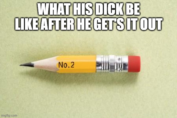 short pencil | WHAT HIS DICK BE LIKE AFTER HE GET'S IT OUT | image tagged in short pencil | made w/ Imgflip meme maker