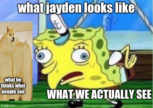 jayden | what jayden looks like; what he thinks what people see; WHAT WE ACTUALLY SEE | image tagged in memes,mocking spongebob | made w/ Imgflip meme maker