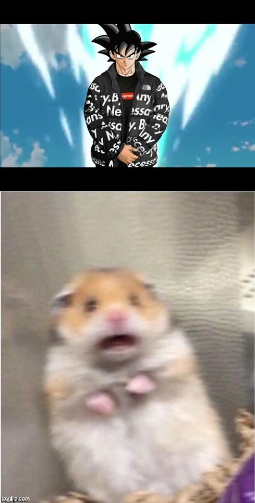 image tagged in scared hamster | made w/ Imgflip meme maker