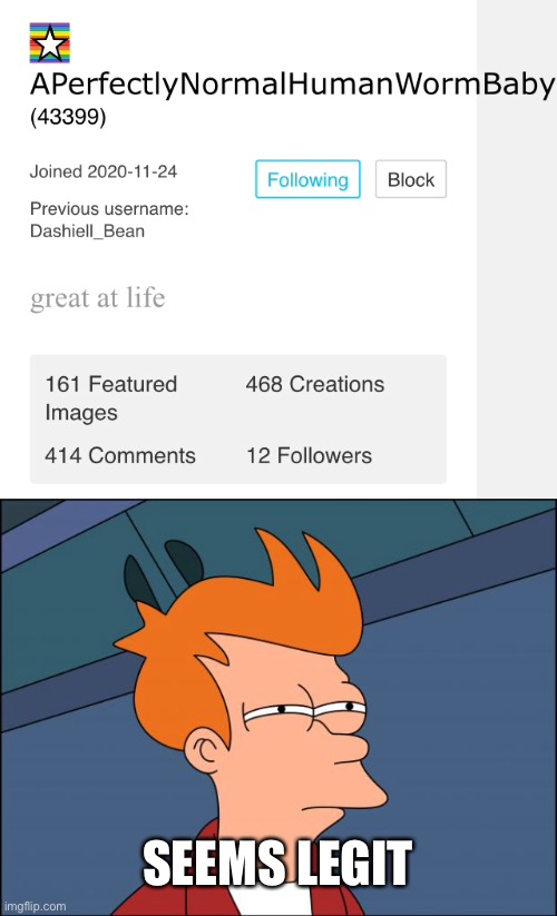 SEEMS LEGIT | image tagged in seems legit,memes,oh wow are you actually reading these tags | made w/ Imgflip meme maker