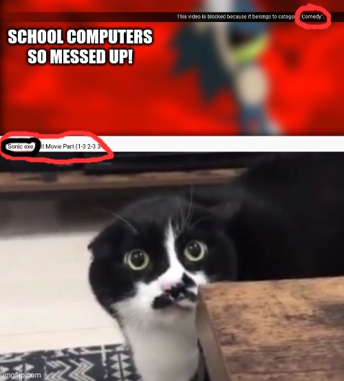 what? |  SCHOOL COMPUTERS SO MESSED UP! | image tagged in sonic exe,mems,cats,cat memes,funny cat memes | made w/ Imgflip meme maker