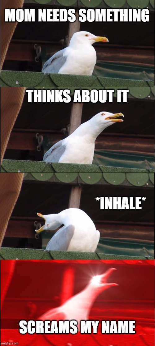 Inhaling Seagull Meme | MOM NEEDS SOMETHING; THINKS ABOUT IT; *INHALE*; SCREAMS MY NAME | image tagged in memes,inhaling seagull | made w/ Imgflip meme maker
