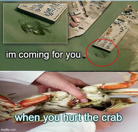 hurt the crab | im coming for you; when you hurt the crab | image tagged in funny | made w/ Imgflip meme maker
