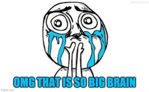 Crying Because Of Cute Meme | OMG THAT IS SO BIG BRAIN | image tagged in memes,crying because of cute | made w/ Imgflip meme maker