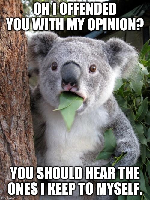 Surprised Koala | OH I OFFENDED YOU WITH MY OPINION? YOU SHOULD HEAR THE ONES I KEEP TO MYSELF. | image tagged in memes,surprised koala | made w/ Imgflip meme maker