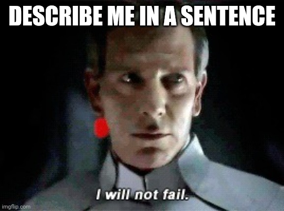 I will not fail | DESCRIBE ME IN A SENTENCE | image tagged in i will not fail | made w/ Imgflip meme maker