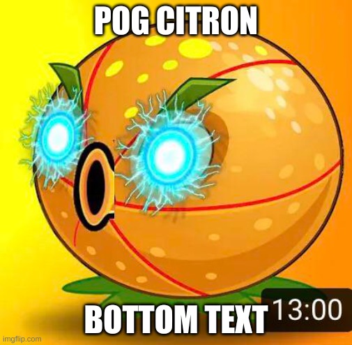 POG CITRON; BOTTOM TEXT | made w/ Imgflip meme maker
