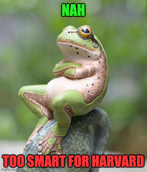 nah frog | NAH TOO SMART FOR HARVARD | image tagged in nah frog | made w/ Imgflip meme maker