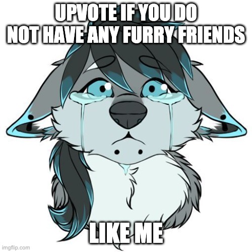 I don't have any friends. Or furry friends. | UPVOTE IF YOU DO NOT HAVE ANY FURRY FRIENDS; LIKE ME | image tagged in sad furry | made w/ Imgflip meme maker