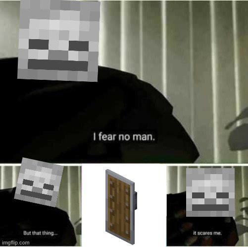 skeletons when i block their arrows and use it against them | image tagged in i fear no man,minecraft | made w/ Imgflip meme maker