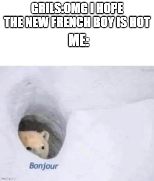 Bonjour | GRILS:OMG I HOPE THE NEW FRENCH BOY IS HOT; ME: | image tagged in bonjour | made w/ Imgflip meme maker