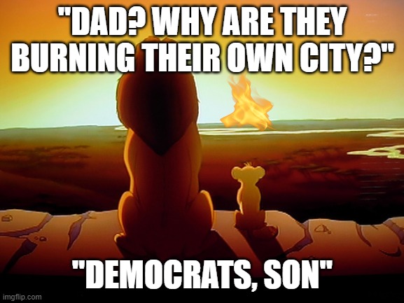 Lion King Meme | "DAD? WHY ARE THEY BURNING THEIR OWN CITY?"; "DEMOCRATS, SON" | image tagged in memes,lion king | made w/ Imgflip meme maker