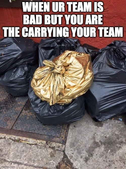 Golden Trash Bag | WHEN UR TEAM IS BAD BUT YOU ARE THE CARRYING YOUR TEAM | image tagged in golden trash bag | made w/ Imgflip meme maker