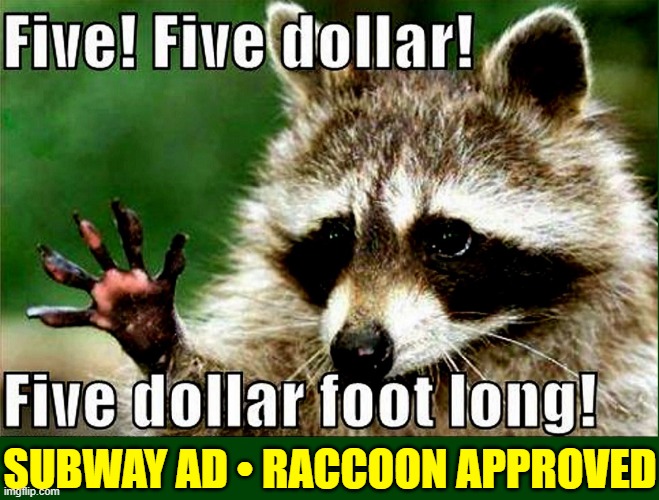 "Buy the Foot Long & Give me What You Have Left." -Rocky | SUBWAY AD • RACCOON APPROVED | image tagged in vince vance,high five,subway,advertisement,foot long,memes | made w/ Imgflip meme maker