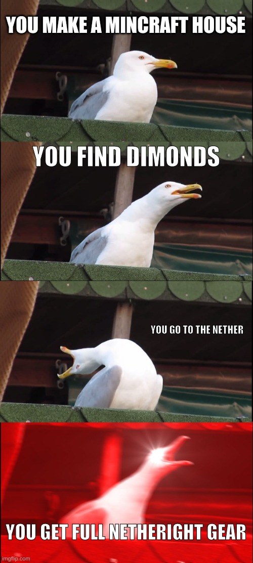 Inhaling Seagull | YOU MAKE A MINCRAFT HOUSE; YOU FIND DIMONDS; YOU GO TO THE NETHER; YOU GET FULL NETHERIGHT GEAR | image tagged in memes,inhaling seagull | made w/ Imgflip meme maker