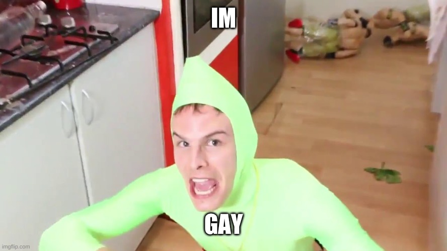 IM GAY | IM GAY | image tagged in im gay | made w/ Imgflip meme maker