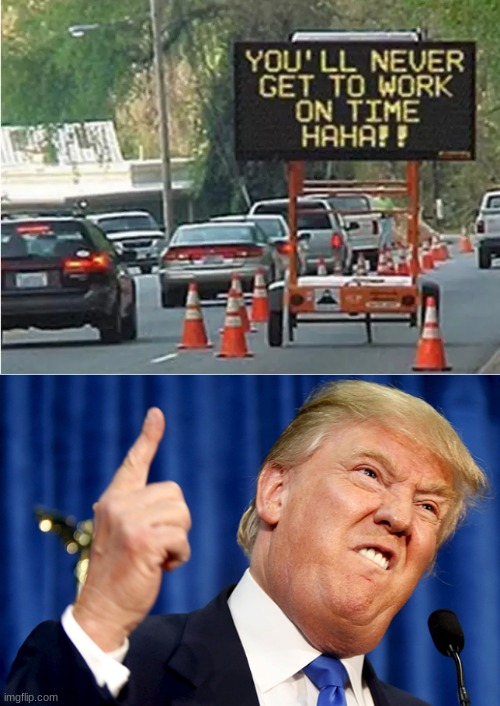 I never liked traffic anyway | image tagged in donald trump | made w/ Imgflip meme maker