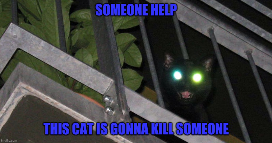 Oh no | SOMEONE HELP; THIS CAT IS GONNA KILL SOMEONE | image tagged in infrared cat | made w/ Imgflip meme maker