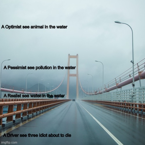 A Optimist see animal in the water; A Pessimist see pollution in the water; A Realist see water in the water; A Driver see three idiot about to die | image tagged in dumb,smort | made w/ Imgflip meme maker